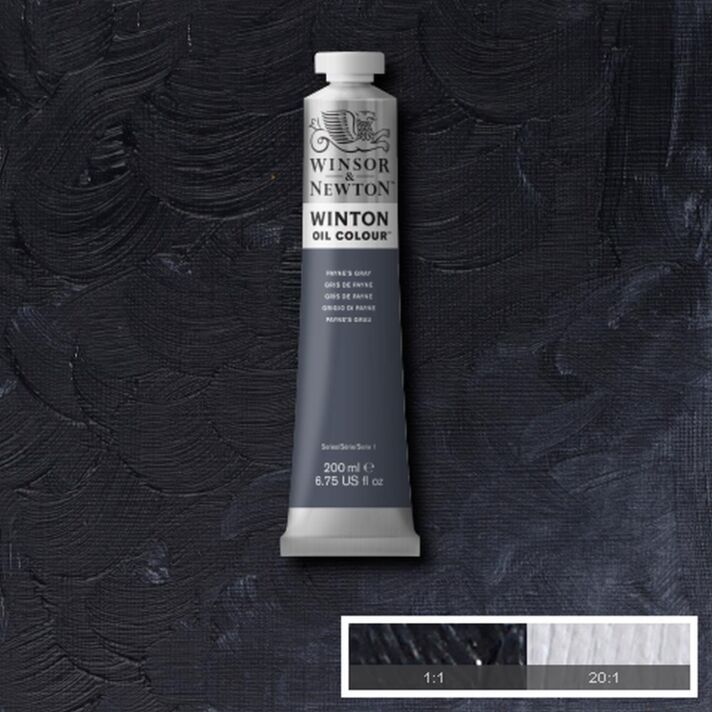 Winsor & Newton Winton Oil Color - 200ml - Payne's Grey