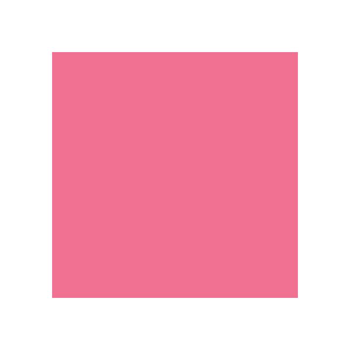 Caran d'Ache Pablo Pencil No. 082 - Rose Pink