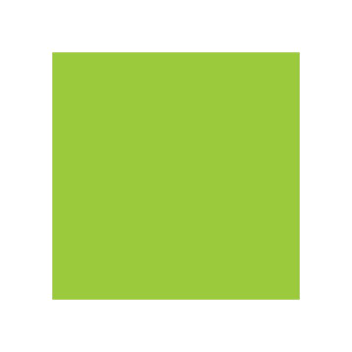 Caran d'Ache Supracolor II Watercolor Pencil #230 - Yellow Green