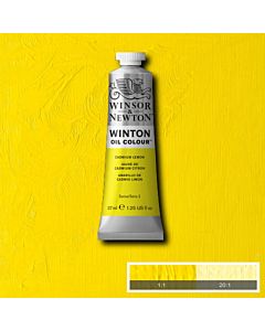 Winsor & Newton Winton Oil Color - 37ml - Cadmium Lemon