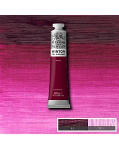 Winsor & Newton Winton Oil Color - 200ml - Magenta