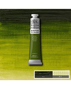 Winsor & Newton Winton Oil Color - 200ml - Sap Green