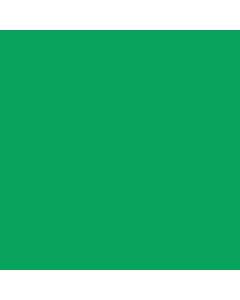 R&F Pigment Stick - 100ml - Veronese Green