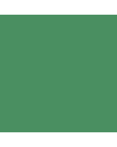 Canson Colorline Heavyweight Paper 300g 19x25 - Moss Green
