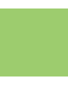 Jacquard Airbrush Color 4oz - Iridescent Green