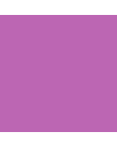 Prismacolor Col-Erase - Purple