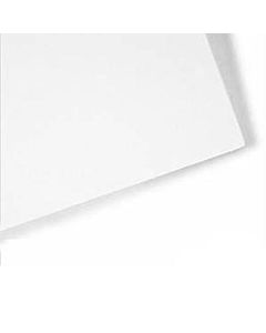 Canson Student Bristol Vellum 18x24 Sheet - White
