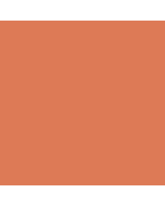 Rembrandt Soft Pastel Individual - Orange #235.8