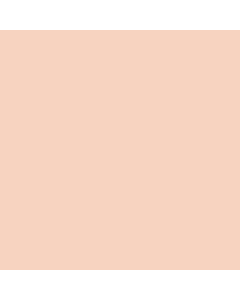 Sakura Cray-Pas Oil Pastel - Pale Orange
