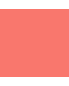 R&F Pigment Stick - 100ml - Warm Pink