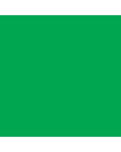 Jacquard Dye-na-flow 2.25oz - Bright Green