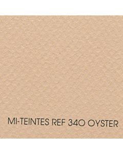 Canson Mi-Teintes Sheet 8.5x11" - Oyster #340