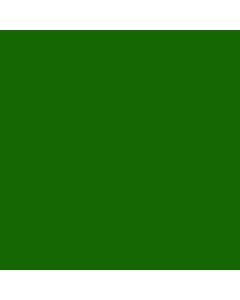 Winsor & Newton Professional Watercolor - 37ml - Permanent Sap Green
