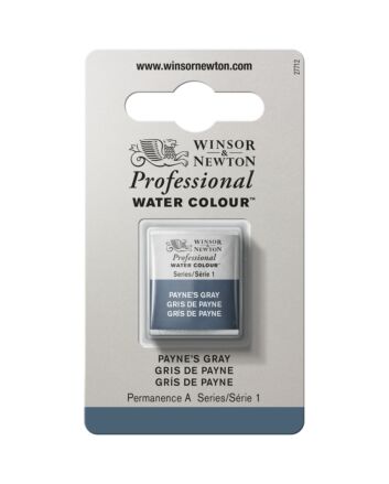 Winsor Newton Professional Watercolor - Half Pan - Payne's Gray