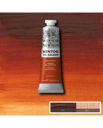 Winsor & Newton Winton Oil Color - 37ml - Burnt Sienna