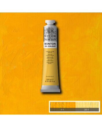 Winsor & Newton Winton Oil Color - 200ml - Cadmium Yellow Medium