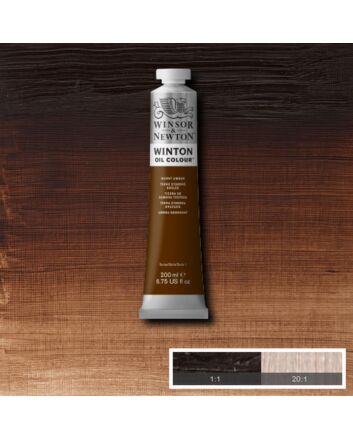 Winsor & Newton Winton Oil Color - 200ml - Burnt Umber