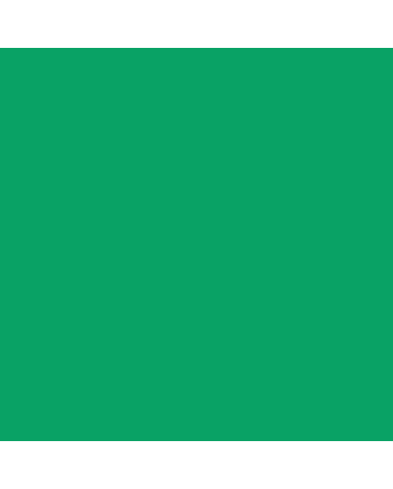 Caran d'Ache Museum Pencil - #3510.22 - Grass Green