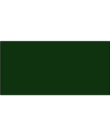 Holbein Duo Aqua Water-Soluble Oil Color 40ml Tube - Sap Green