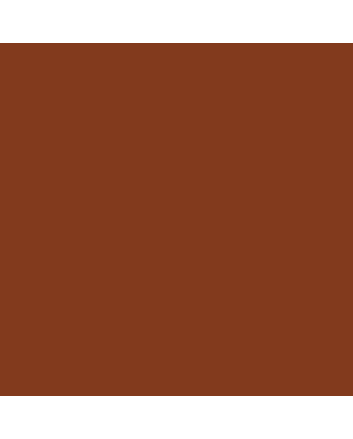 Caran d'Ache Neocolor I - Toledo Brown