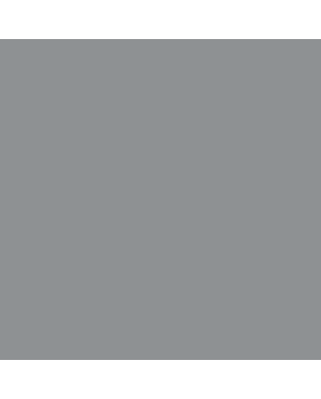 Caran d'Ache Museum Pencil - #3510.495 - Slate Grey