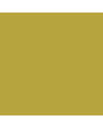 Caran d'Ache Museum Pencil - #3510.015 - Yellow Olive
