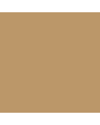 Caran d'Ache Museum Pencil - #3510.037 - Brown Ochre
