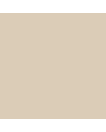 Caran d'Ache Pablo Pencils Individual No. 403 - Beige