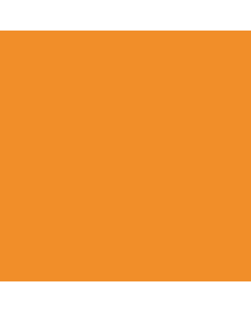 Caran d'Ache Neocolor I - Orange