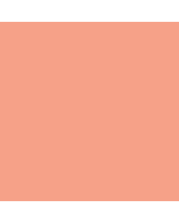 Caran d'Ache Neocolor I - Salmon