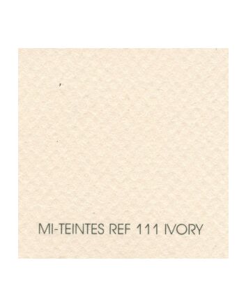 Canson Mi-Teintes Sheet 8.5x11" - Ivory #111