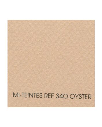 Canson Mi-Teintes Sheet 19x25 - Oyster #340