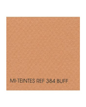 Canson Mi-Teintes Sheet 19x25 - Buff #384
