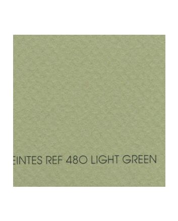 Canson Mi-Teintes Sheet 19x25 - Light Green #480