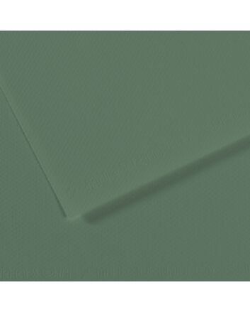 8.5X11 Canson Mi-Teintes Sheet Sage Green 190
