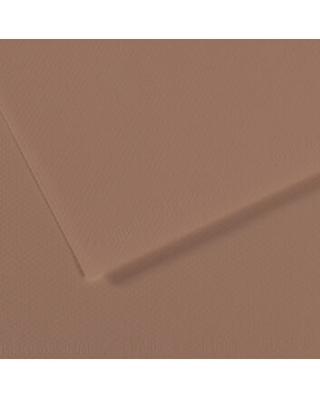 8.5X11 Canson Mi-Teintes Sheet Chestnut 188