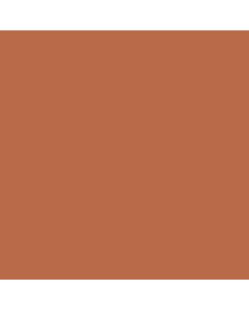 Caran d'Ache Pablo Pencil No. 069 - Burnt Sienna