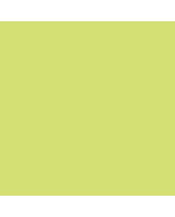 Caran d'Ache Pablo Pencil No. 221 - Light Green