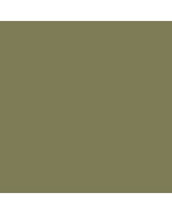 Caran d'Ache Pablo Pencil No. 039 - Olive Brown