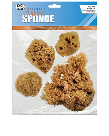 Combination Sponge Set