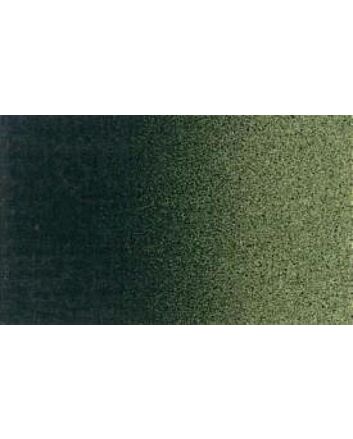 Rembrandt Extra-Fine Artists' Oil Color 40ml Tube - Green Earth