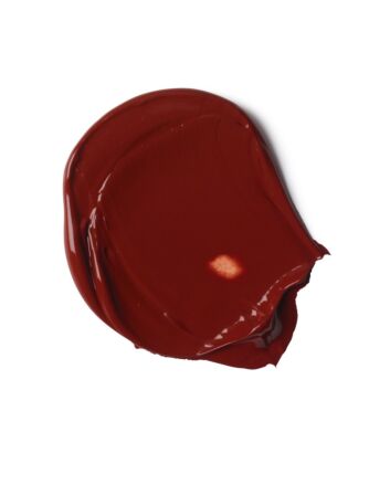 Liquitex Bio Based Acrylics - Burnt Sienna - 500ml