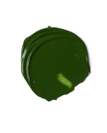 Liquitex Bio Based Acrylics - Hookers Green Hue Permanent - 75ml