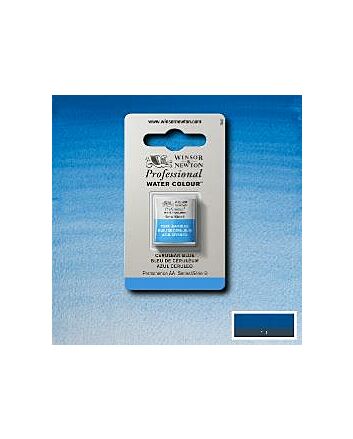 Winsor Newton Professional Watercolor - Half Pan - Cerulean Blue
