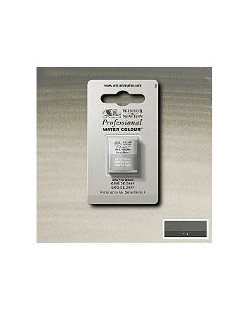 Winsor Newton Professional Watercolor - Half Pan - Davy's Gray