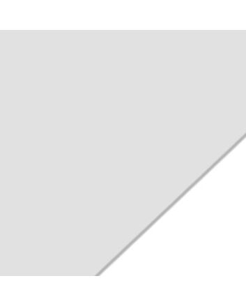 Yupo White 74Lb 26X20" Sheet