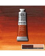 Winsor & Newton Winton Oil Color 37ml - Burnt Sienna