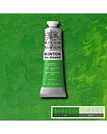 Winsor & Newton Winton Oil Color 37ml - Permanent Green Light