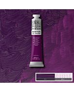 Winsor & Newton Winton Oil Color 200ml - Cobalt Violet Hue