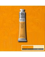 Winsor & Newton Winton Oil Color - 200ml - Cadmium Yellow Hue